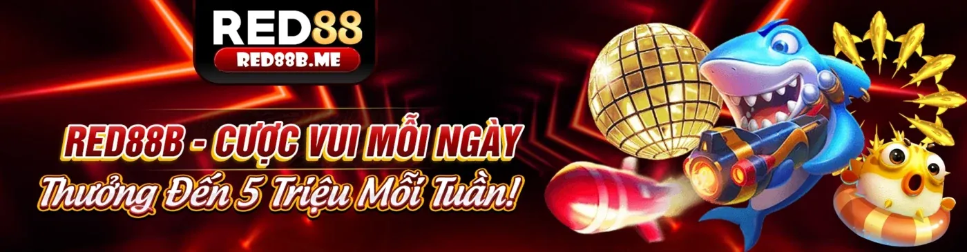 Kibet Nhà Cái 2026: Đánh Giá Game Hot & Ưu Đãi Hấp Dẫn Nhất!